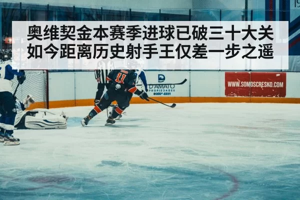 ice hockey match action